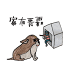 チワワと私（個別スタンプ：30）