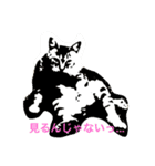 ダラけ猫（個別スタンプ：8）