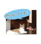 かぐら＆のんた（個別スタンプ：1）