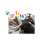 かぐら＆のんた（個別スタンプ：4）