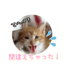 かぐら＆のんた（個別スタンプ：5）
