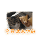 かぐら＆のんた（個別スタンプ：10）