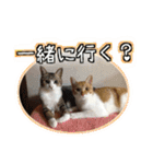 かぐら＆のんた（個別スタンプ：13）