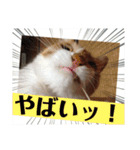 かぐら＆のんた（個別スタンプ：14）