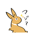 ゆるいどうぶつさんたち（個別スタンプ：13）
