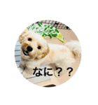 マルキャバ（個別スタンプ：3）