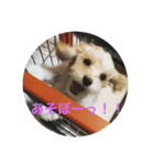 マルキャバ（個別スタンプ：4）