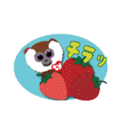 Tyの仲間たちスタンプ（個別スタンプ：28）