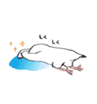カモメと小鼠ちゃん（個別スタンプ：10）