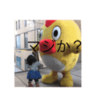 Emma‘s stickers（個別スタンプ：14）