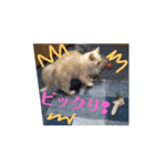 すくすくシロッコ★1ヶ月目（個別スタンプ：2）