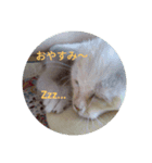 すくすくシロッコ★1ヶ月目（個別スタンプ：5）