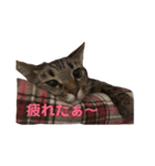 うみちゃんの心の声2（個別スタンプ：6）