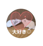 うちのハムハム’s(Lv2)（個別スタンプ：4）