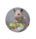 うちのハムハム’s(Lv2)（個別スタンプ：7）