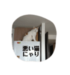 のんすたんぷ2（個別スタンプ：30）