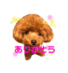 チビぷーちゃん(毎日使える)（個別スタンプ：2）