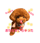 チビぷーちゃん(毎日使える)（個別スタンプ：7）