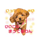 チビぷーちゃん(毎日使える)（個別スタンプ：15）