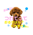 チビぷーちゃん(毎日使える)（個別スタンプ：16）