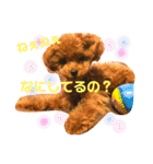 チビぷーちゃん(毎日使える)（個別スタンプ：19）
