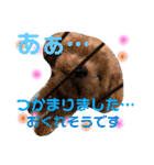 チビぷーちゃん(毎日使える)（個別スタンプ：25）