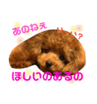 チビぷーちゃん(毎日使える)（個別スタンプ：28）