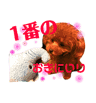 チビぷーちゃん(毎日使える)（個別スタンプ：29）