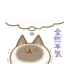 AB型にゃんこ（個別スタンプ：10）