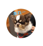 ぽこ太郎 その2（個別スタンプ：1）
