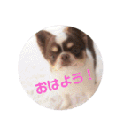 ぽこ太郎 その2（個別スタンプ：2）