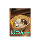 ぽこ太郎 その2（個別スタンプ：7）