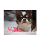 ぽこ太郎 その2（個別スタンプ：12）