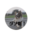 ぽこ太郎 その2（個別スタンプ：14）