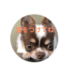 ぽこ太郎 その2（個別スタンプ：16）