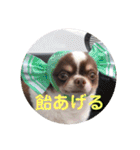 ぽこ太郎 その2（個別スタンプ：23）