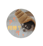 ぽこ太郎 その2（個別スタンプ：25）