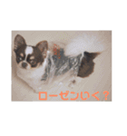 ぽこ太郎 その2（個別スタンプ：27）