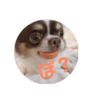 ぽこ太郎 その2（個別スタンプ：31）