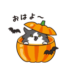 はらぺこ猫のハロウィン（個別スタンプ：1）