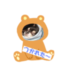 とらのすけ スタンプ（個別スタンプ：7）