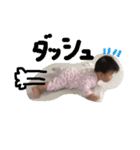 りおのひとりごと〜2〜（個別スタンプ：12）