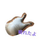三橋家の犬（個別スタンプ：4）