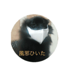 三橋家の犬（個別スタンプ：5）
