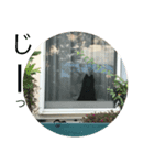 三橋家の犬（個別スタンプ：7）