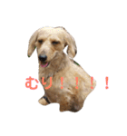 ぎずもすたんぷ（個別スタンプ：9）