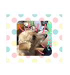 ぎずもすたんぷ（個別スタンプ：16）