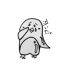 はげあにまる（個別スタンプ：7）