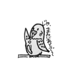 はげあにまる（個別スタンプ：9）