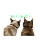 むぎちゃんとしおちゃん（個別スタンプ：1）
